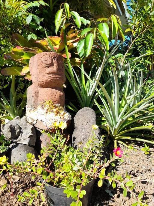 Te Mana Lodge Taravao エクステリア 写真